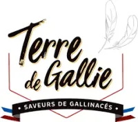 Logo Terre de Gallie